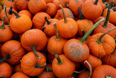 A pile of medium-sized orange pumpkins in a wooden crate at a farmer's market filling the frame