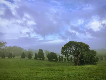 Scenic view of grassy field against cloudy sky