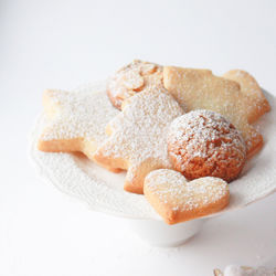 Close-up of cookies in plate against white background