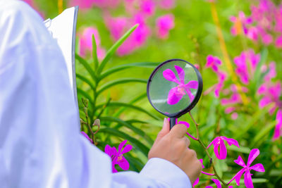 Midsection of woman holding purple flowering plant