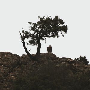 Man standing on landscape against clear sky