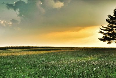 Scenic view of landscape against cloudy sky