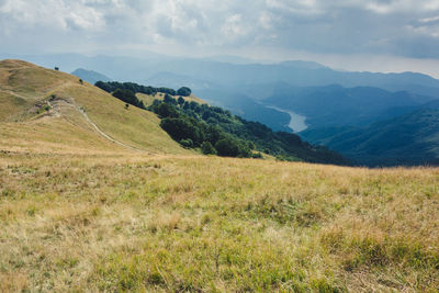 Scenic view of field against sky