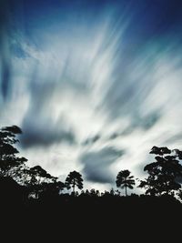 Low angle view of silhouette trees against sky