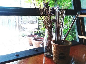 Close-up of potted plant on window sill