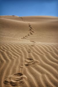 Scenic view of desert