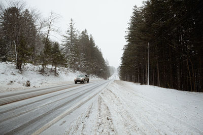 Road amidst trees against sky during winter