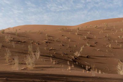 Sand dunes in a desert