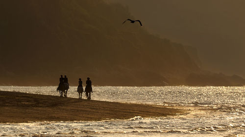 Silhouette people on beach against sky