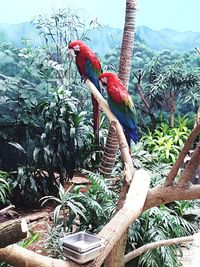 View of birds perching on tree
