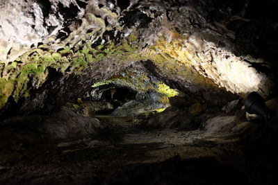 Close-up of cave on rock