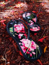 High angle view of maple leaves on field