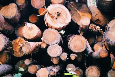 Full frame shot of logs