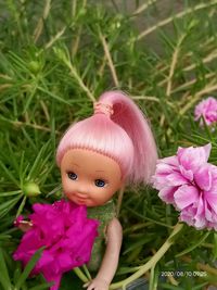 High angle view of pink and purple flowering plants