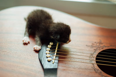 High angle view of a guitar