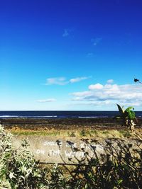 Scenic view of beach against blue sky