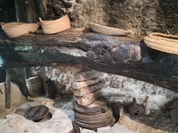 Stack of logs in forest