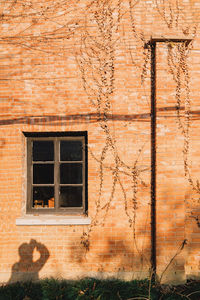 Window of building