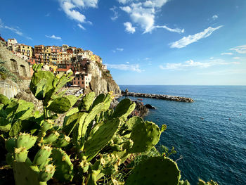 Panoramic shot of sea against sky