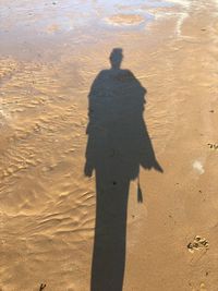 Shadow of man on sand at beach