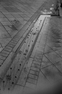 High angle view of footpath by street