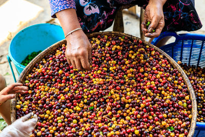 Manual screening process coffee beans by hand and selective focus angle view shot