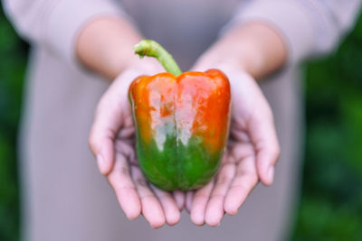 Close-up of hand holding fruit