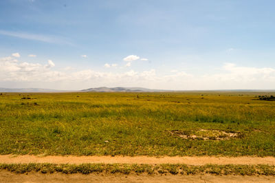 Scenic view of field against sky