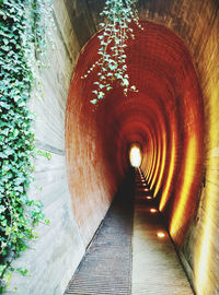 Empty walkway in tunnel
