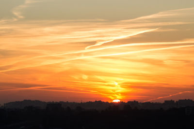 Silhouette trees against orange sky