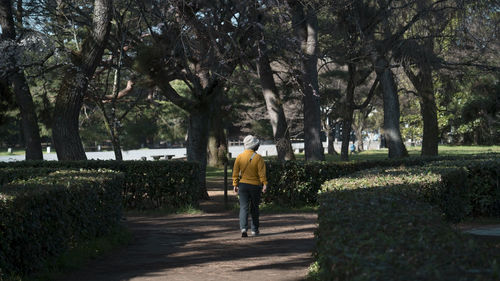 Rear view of woman walking on footpath in park