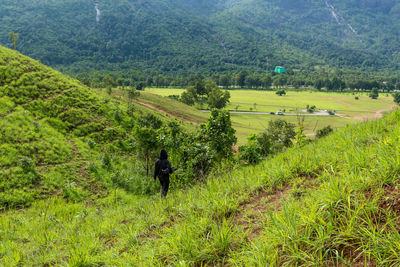 High angle view of people walking on grassy field