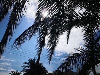 Low angle view of silhouette palm trees against sky