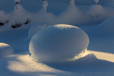 Close-up of frozen water on land