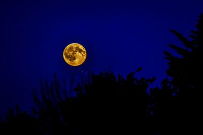 Low angle view of moon and trees against blue sky