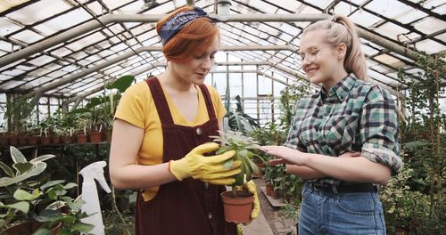 Young woman standing in greenhouse