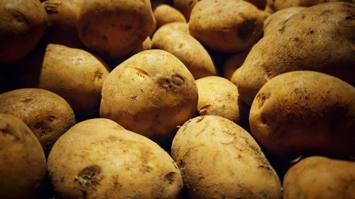 Full frame shot of pumpkins