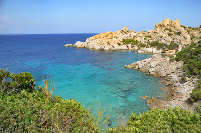 Scenic view of sea against clear blue sky