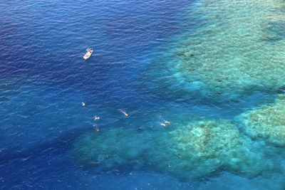 High angle view of people swimming in sea