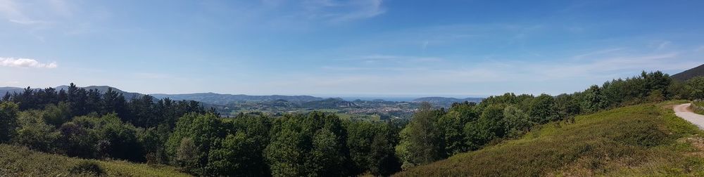 Panoramic view of trees in forest against sky