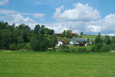 Scenic view of grassy field against sky