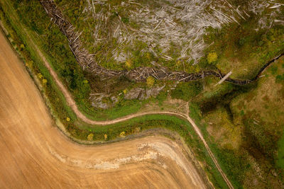 High angle view of road amidst trees