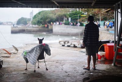 Rear view of man with umbrella in city