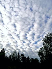 Low angle view of silhouette trees against cloudy sky