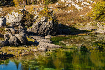 Scenic view of lake