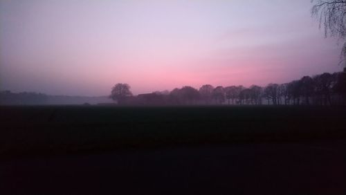 Silhouette trees on field against sky during sunset