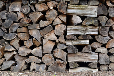 Stack of logs in forest