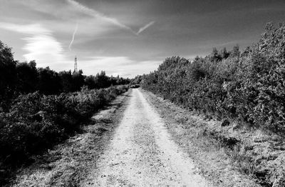 Road amidst trees against sky