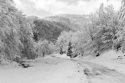 Scenic view of snow covered land against sky