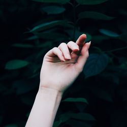 Cropped image of woman against plants